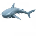 Spray Shark Blue