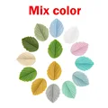 Leaf Mix color
