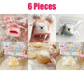6 Pieces