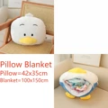 Pillow Blanket