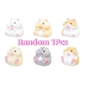 Random 1Pcs