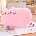 Pink cookie cat