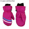 3-6Y-Rose