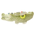 Crocodile1