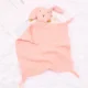 Pink-Rabbit