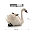 White Swan- b