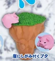 pig cling to cliff