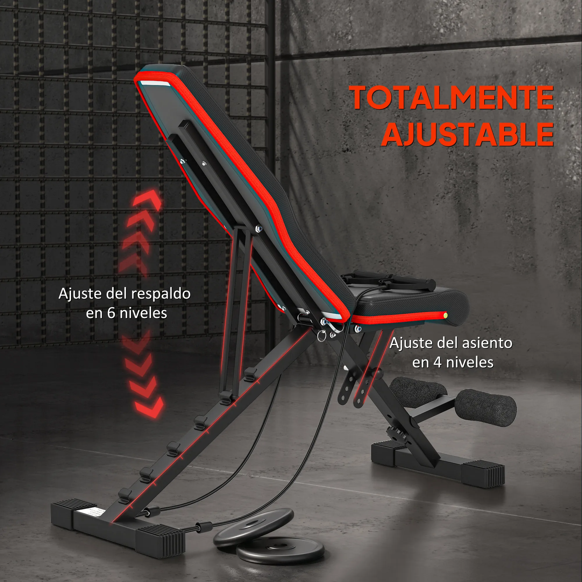 HOMCOM Banco de Musculación Plegable, Banco de Pesas, Respaldo y Asiento Ajustables, Extensión de Pierna, Cojín de Predicador y Banda de Resistencia, para Entrenamiento Completo, Gimnasio en Casa - imagen 3