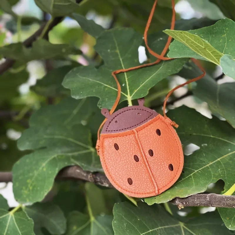 ladybug