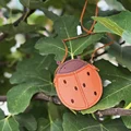 ladybug