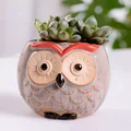 Owl A