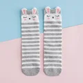 G272 rabbit