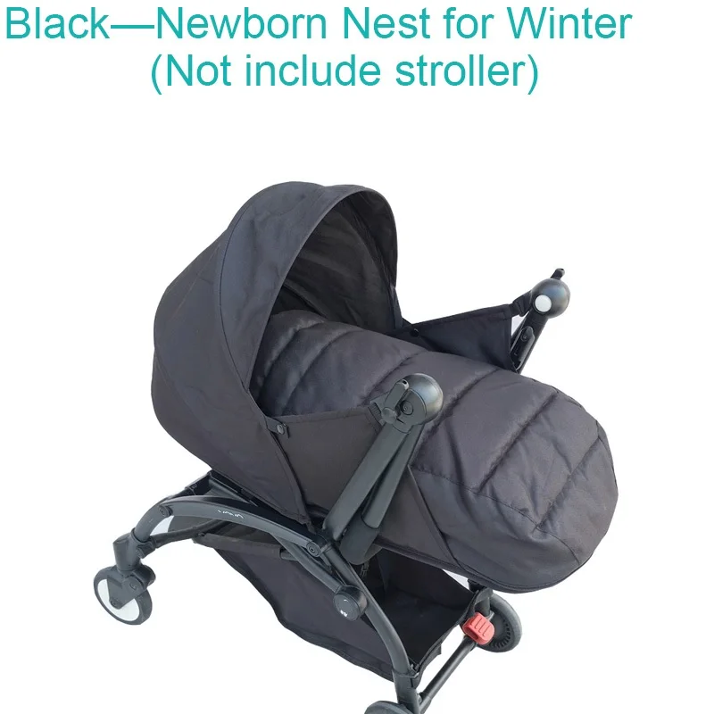 Black winter