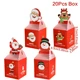 20pcs