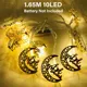 1.65M 10LED 5