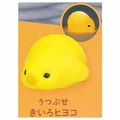 yellow chick down