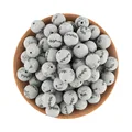 50PCS COLOR 21