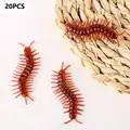 Centipedes
