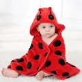 Ladybug
