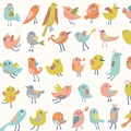 Birds