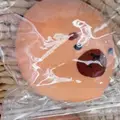capybara 1pc