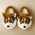brown slipper