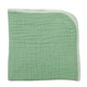 Leaf Green