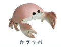 Calappa crab