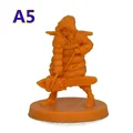 A5