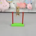 Tibetan fox play bar