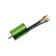 Brushless Motor