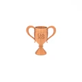 bronze trophy