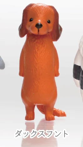 Dachshund