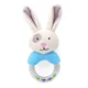 blue rabbit 314