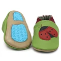 greenladybug outdoor