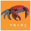 red crab