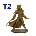T2