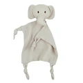 Elephant -2