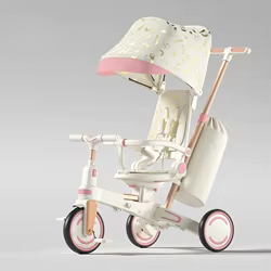 Triciclo convertible infantil con asiento ajustable y capota