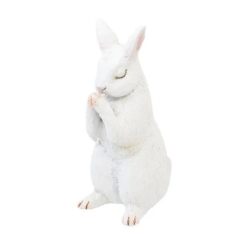 white rabbit