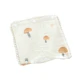 Brown Mushroom