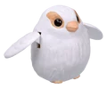 Society finch