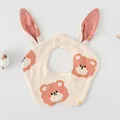 Rabbit Rainbow Bear