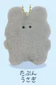 maybe a rabbit