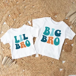Camiseta familiar manga corta niño Big Brother Little