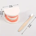1 Set