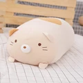 Gato usado