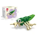 Grasshopper