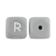 10pcs R