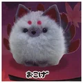 gray red fox